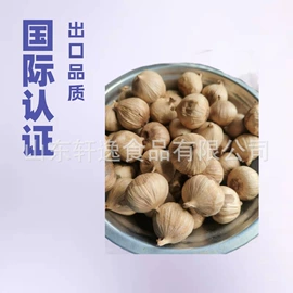 脱水蔬菜;其他调味品;蒜