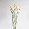 Ягоды клубники, белые, 15 шт.