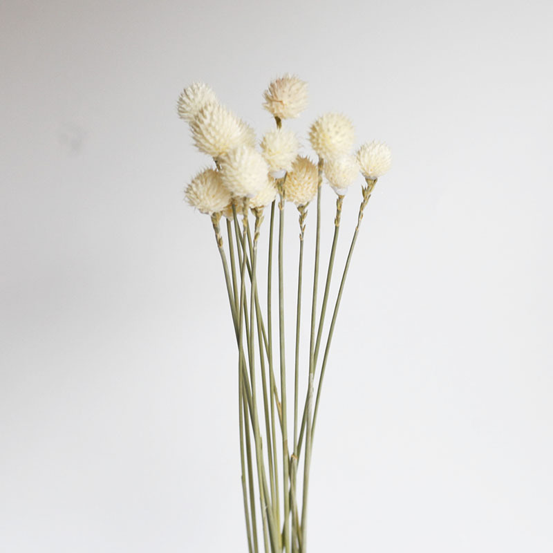 Flor seca Flor eterna Gypsophila Bola de oro No me olvides Flor seca Rosa hoja de eucalipto Pine Fruit Lover Grass al por mayor