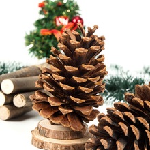 �ɻ��b�֦�}�Q�������Rβ�ɔ[�����׃��@ɭϵ��������ֱ�N