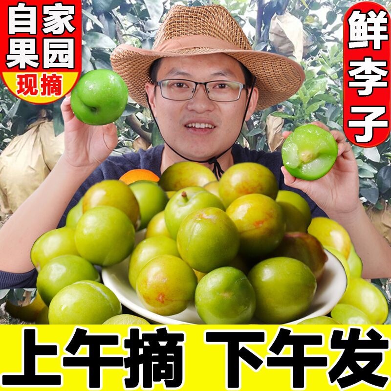 March Fresh Green Crispy Plums, Seasonal Fresh Sanhua Plums, Sweet and Sour Fruit for Pregnant Women, Wholesale with Free Shipping