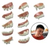 [12款珠光假牙（单个价）]