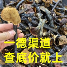 纯天然 西藏中小号野生灵芝  一斤¥255