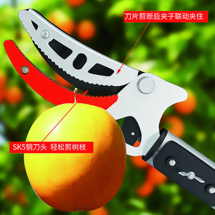 摘果剪高空修枝剪伸缩杆摘果神器果剪刀摘果神器摘荔枝神器摘果器-阿里巴巴