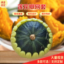 ˮ��ɏ����W�� ؐؐ�Ϲϰ��b�� ����������ָ̹��ж���̖���l