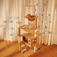 2025新款猫爬架猫窝猫树一体猫抓柱多跳台不占地四季通用猫咪用品