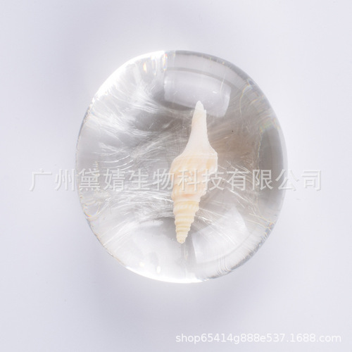 Amino Acid Essential Oil Soap Transparent Soap Conch Shell Starfish Creative Handmade Soap Cleansing Bath Soap One Piece Dropshipping