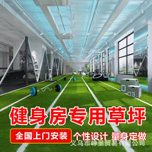 �����ƺ������������ɳ�w�����������Ƥ�����������w��Ӗ��