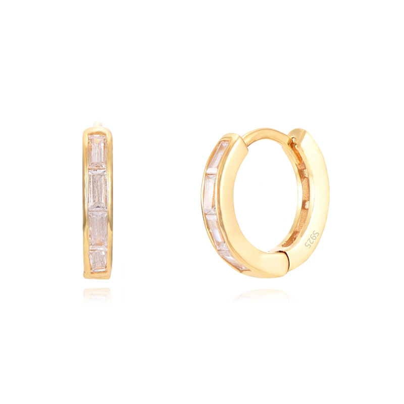 Fashion Geometric Sterling Silver Inlaid Zircon Earrings 1 Pair