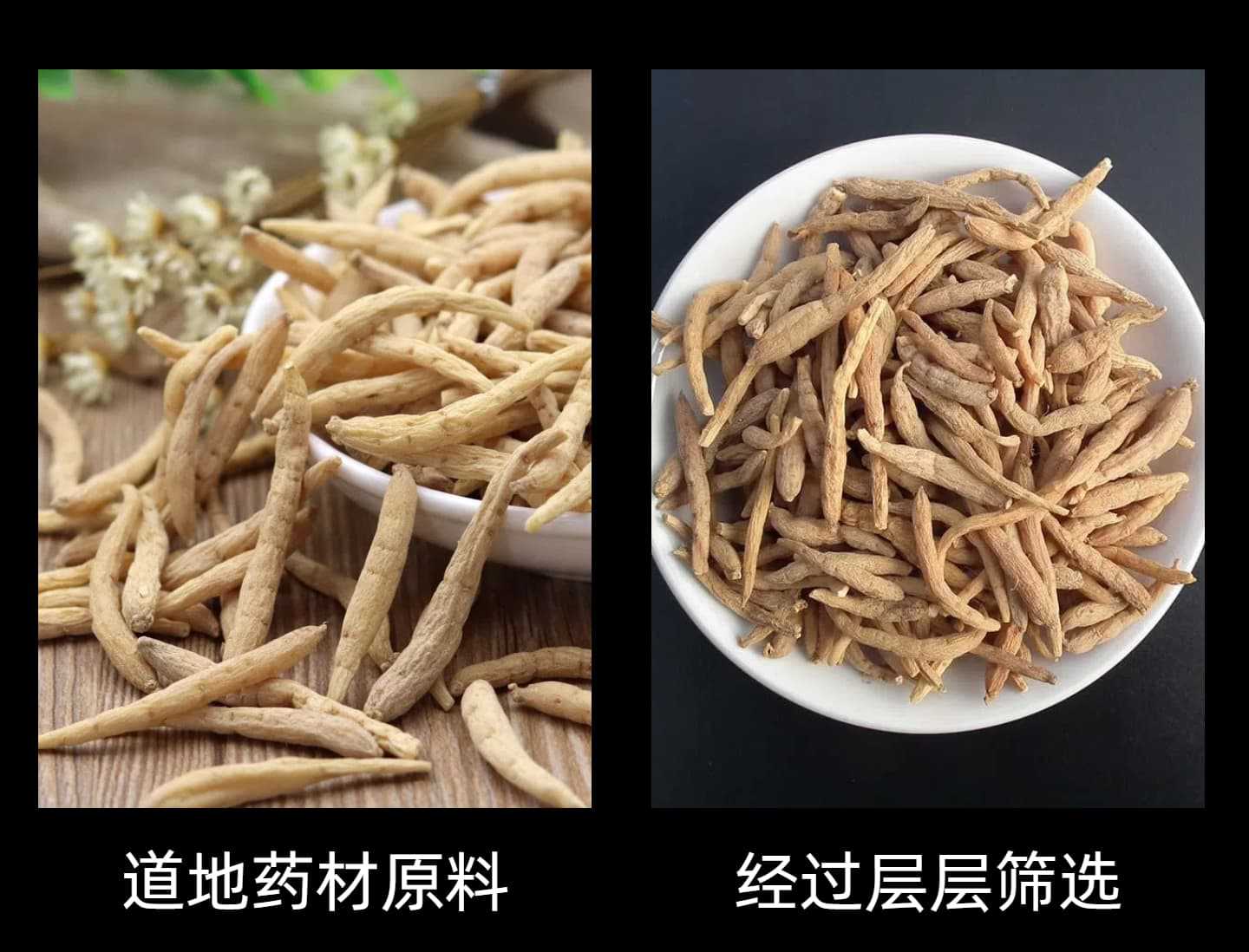Prince Ginseng Tai Zi Shen 500g Fujian Dried Pseudostellaria Root Slices for Herbal Soup and Tea quality and texture