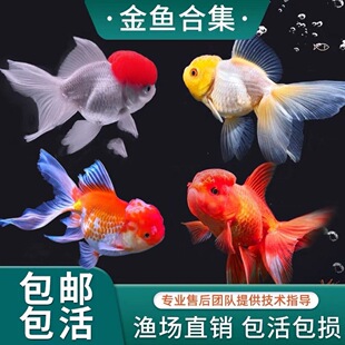 �̽���~���~�����^�p�~��픵�ˮ�~��β�{���^�t��ˮ�~�m���Q피t