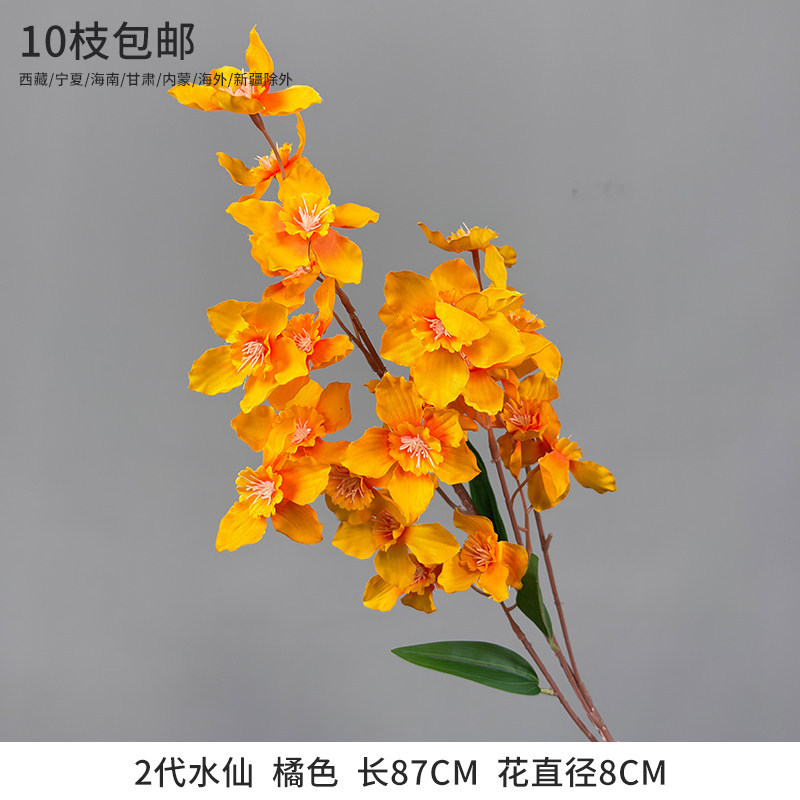 2代水仙