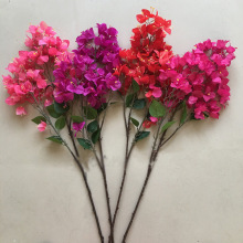 ��Ʒ��֦����÷���ܿ͏d�����T鹘侰��֧�ɻ��ٻ�������b������