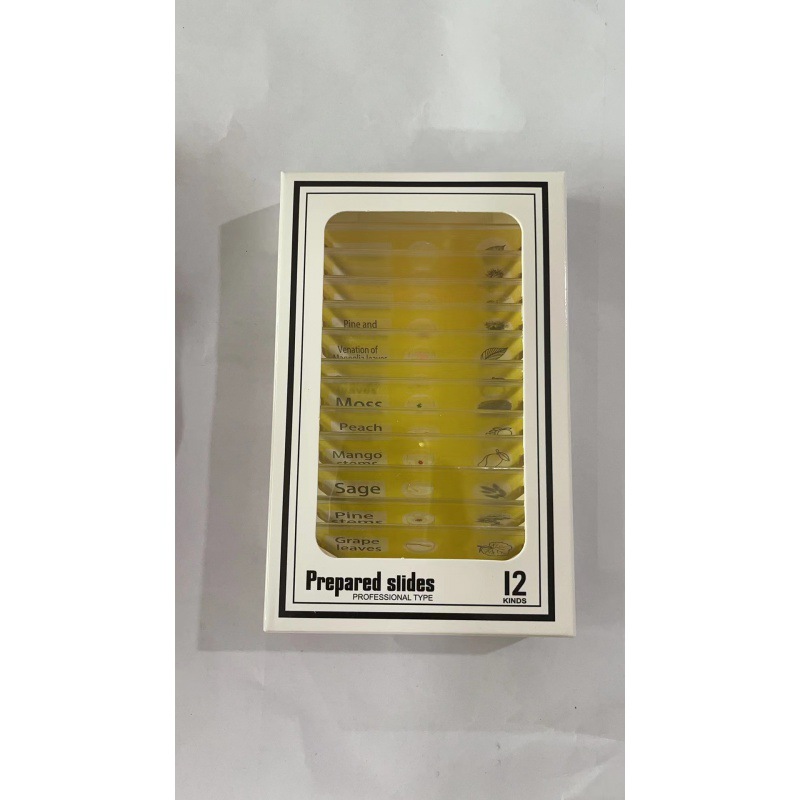 식물 노란색 표본 (영어)