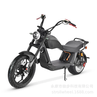 Best-Selling Overseas 2000W Balance — Elektrikli motosikletlər