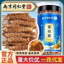 南京同仁堂 夏枯草 原产地河南夏枯草可搭猫爪草罐装批发 50g/罐