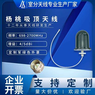 698-2700Mhz Explosion-Proof Fiberglass Antenna Wireless Equipment Supporting Ip67 Waterproof Omnidirectional Starfruit Antenna