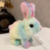 Rainbow bunny