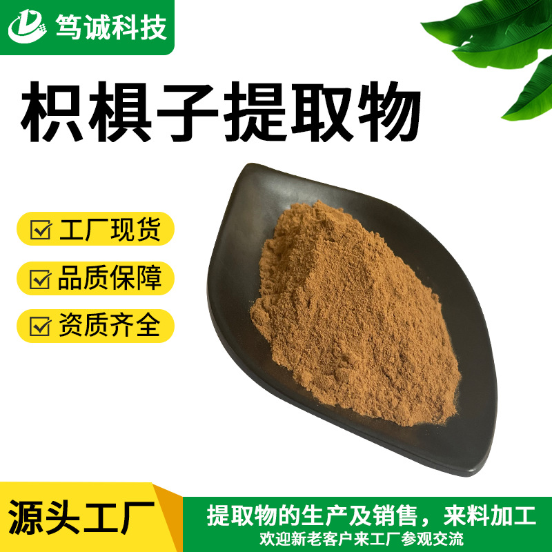 SC工厂 枳椇子提取物 10:1 枳椇子粉 枳椇子浸膏粉 水溶枳椇子粉