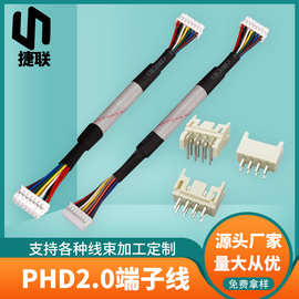 厂家PHD2.0双排端子线 2.0间距家居智能线束智能门锁指纹锁连接线