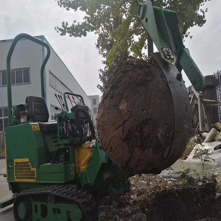 Pequeña máquina de excavadora de árboles de cuchillo de arco circular para trasplante de árboles verdes