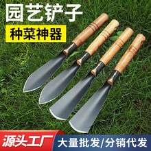 @ˇP๦ƽPNNСPlÑҰB@P