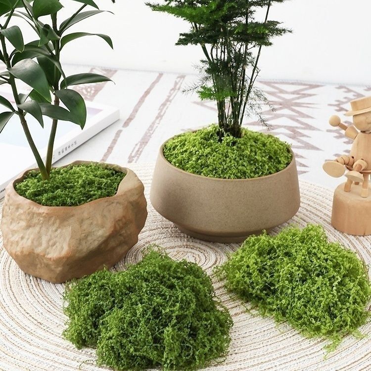 羊毛造景掉色不植物墙水陆缸假山石头仿真苔藓青苔缸藓园林雨淋|undefined