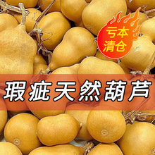 ���Sֱ�N��ȻԭƤ覴�������J�@ָ�����^С���J�P���ְѼ����l