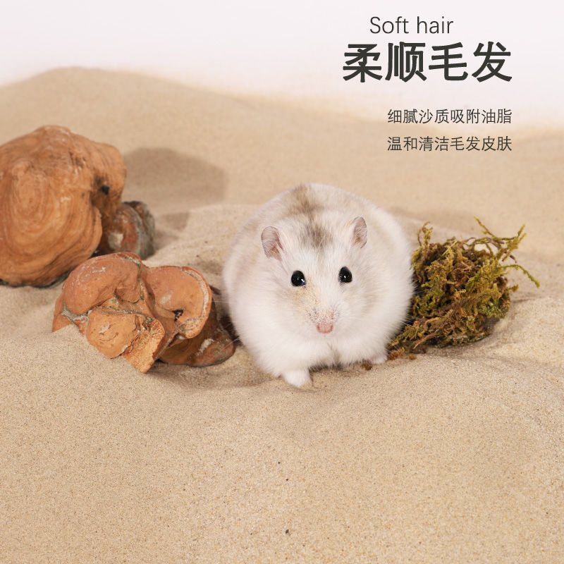 倉鼠浴沙用品沐除臭洗澡洗澡廠家亞馬遜速賣通廠家批發跨境獨立站
