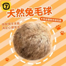 ؈�����ë��؈���˽␞��ץ��ҧë�q��������o���S�݌������