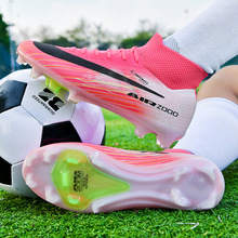 ķ����̿�16����Ь������רҵ������Ьѧ������ݵ�FG����TF�鶤