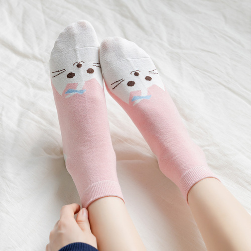 2026 new spring and summer women's Korean style cotton tube socks, kitten face, cute ins, trendy sports boat socks