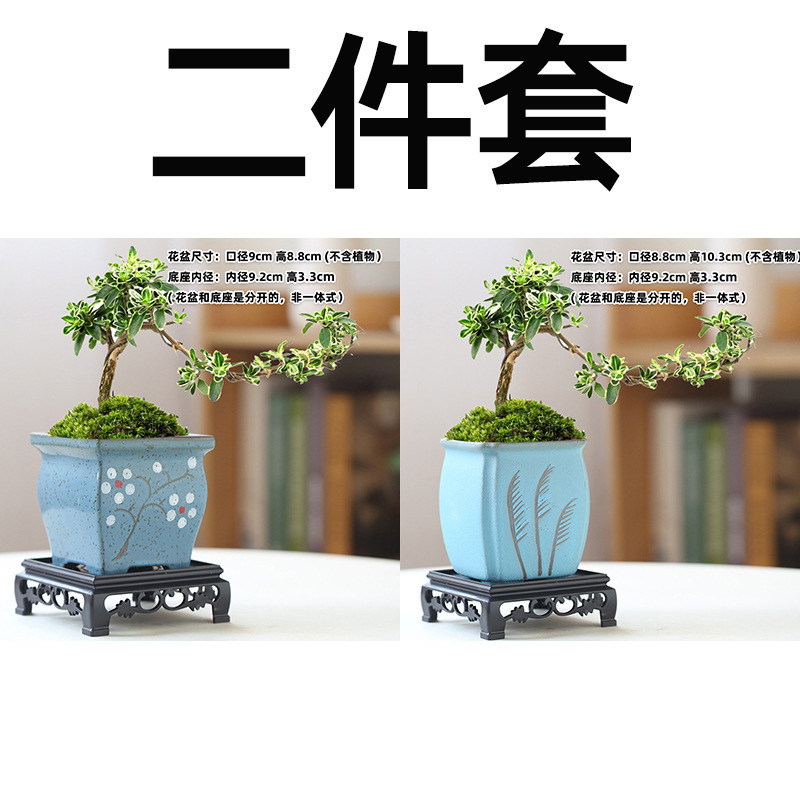 多肉植物の植木鉢卸売セラミック植物粗い陶器レトロ無地焼成紫砂クリエイティブ大小直径シンプルなクロスボーダー|undefined