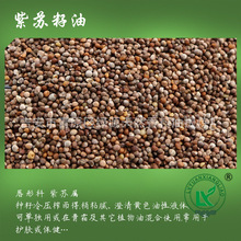 紫苏籽油 物理冷榨紫苏子油Perilla seed oil紫苏油 植物基础油