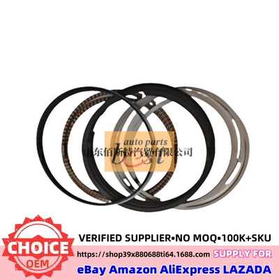 Engine Piston Rings – Piston, piston ring, piston pin