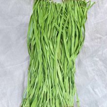 无叶贡菜100-500g苔干苔菜农家土特产干货脱水蔬菜干响菜批发批发