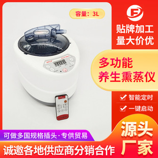 3.0 Stainless Steel Fumigation Machine, Sweat Steamer, Steam Pot, Sauna Foot Bath Machine, Sauna Bath Box, Steamer, Foot Bath, Others