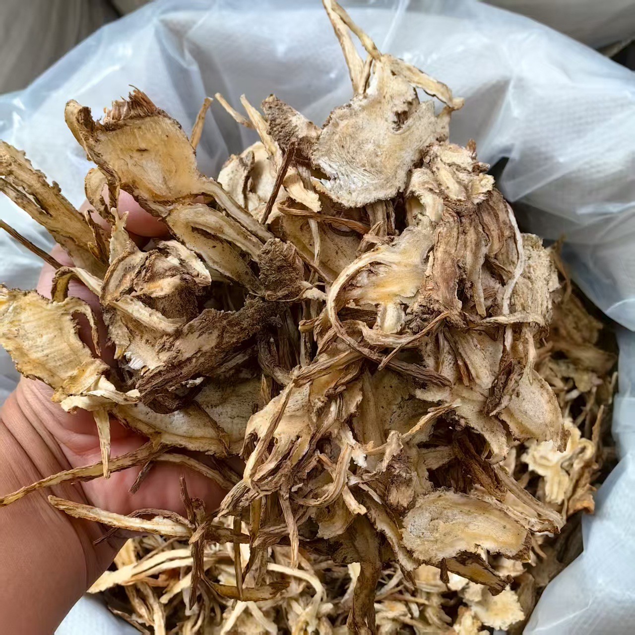Dang Gui Powder Angelica Sinensis Fine Ground Chinese Angelica Root Powder 500g Bulk Supply key features
