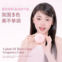 NOVO情緒演繹腮紅盤細膩自然不易暈染易上手絲滑清透自然提亮批發