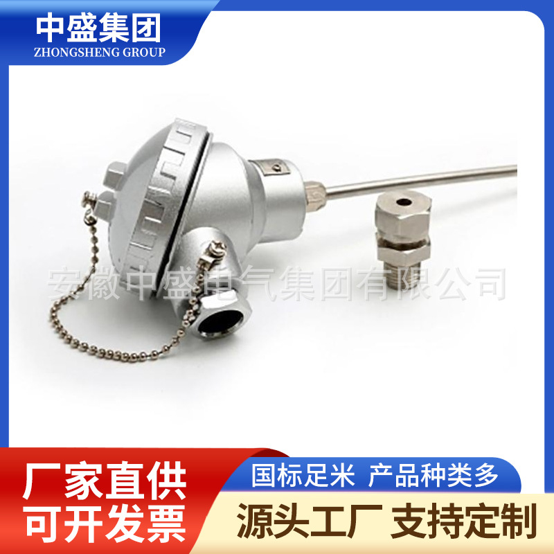 铠装热电阻WZPK2-23 5L=300mm PT100