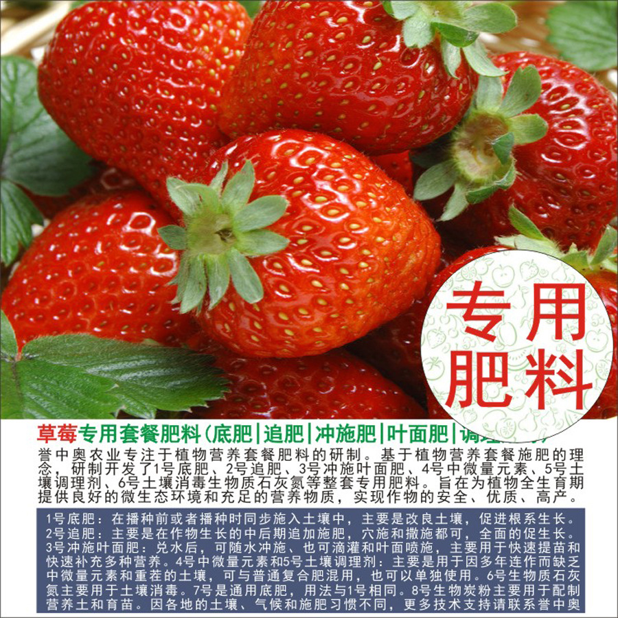 50�����а²�ݮר���л��ʸ��Ϸʵ׷�׷��Ҷ��ʳ�ʩ��ˮ�ܷ�