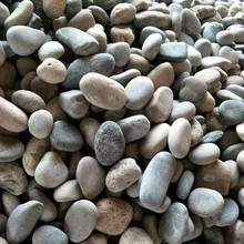 工业污水承托层鹅卵石  变压器垫层鹅卵石  城市尾污水鹅卵石滤料