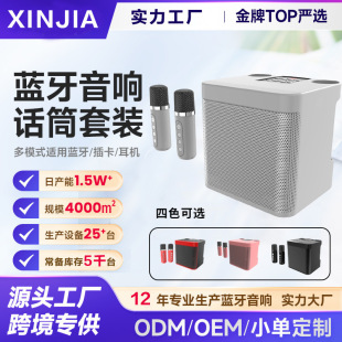 Ys203 Ktv Home Set Speaker with Microphone All-In-One Machine Kd203 Dual Microphone Bluetooth Singing Karaoke Audio