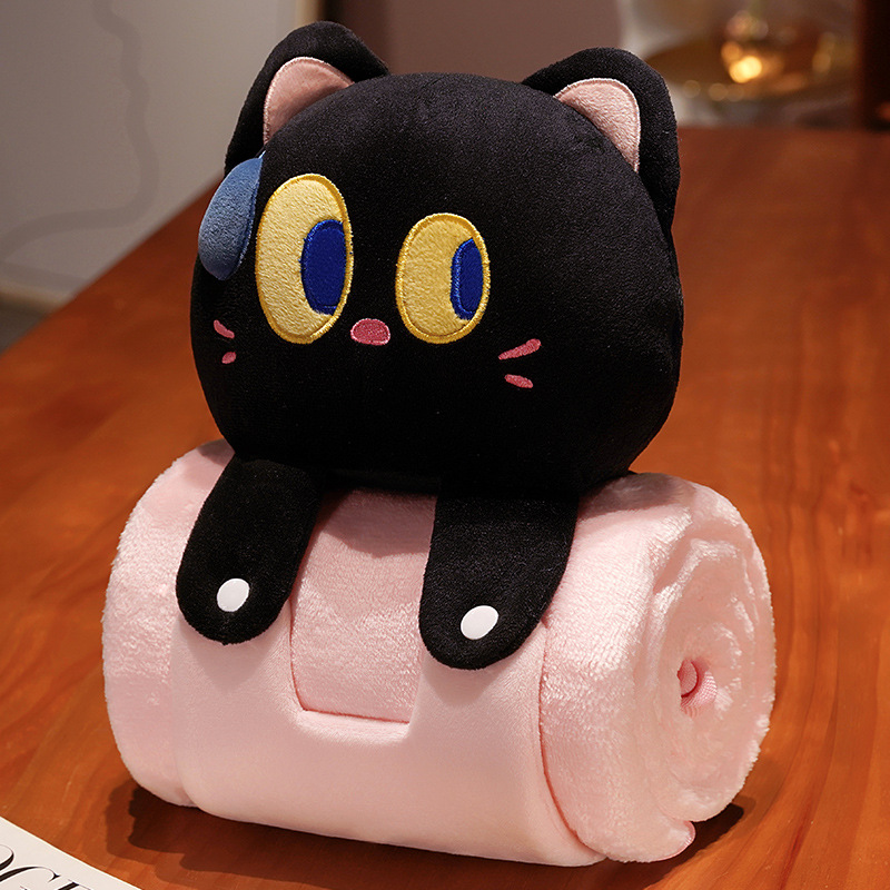 큰 눈을 가진 고양이