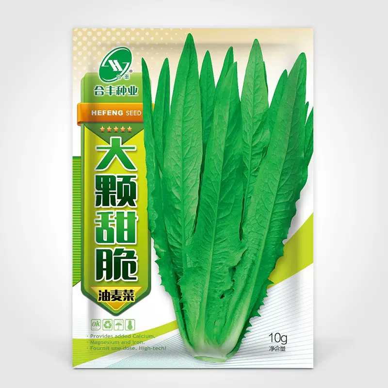 大颗甜脆油麦菜种子阳台盆栽甜麦菜种籽耐热广东油麦菜种孑蔬菜籽