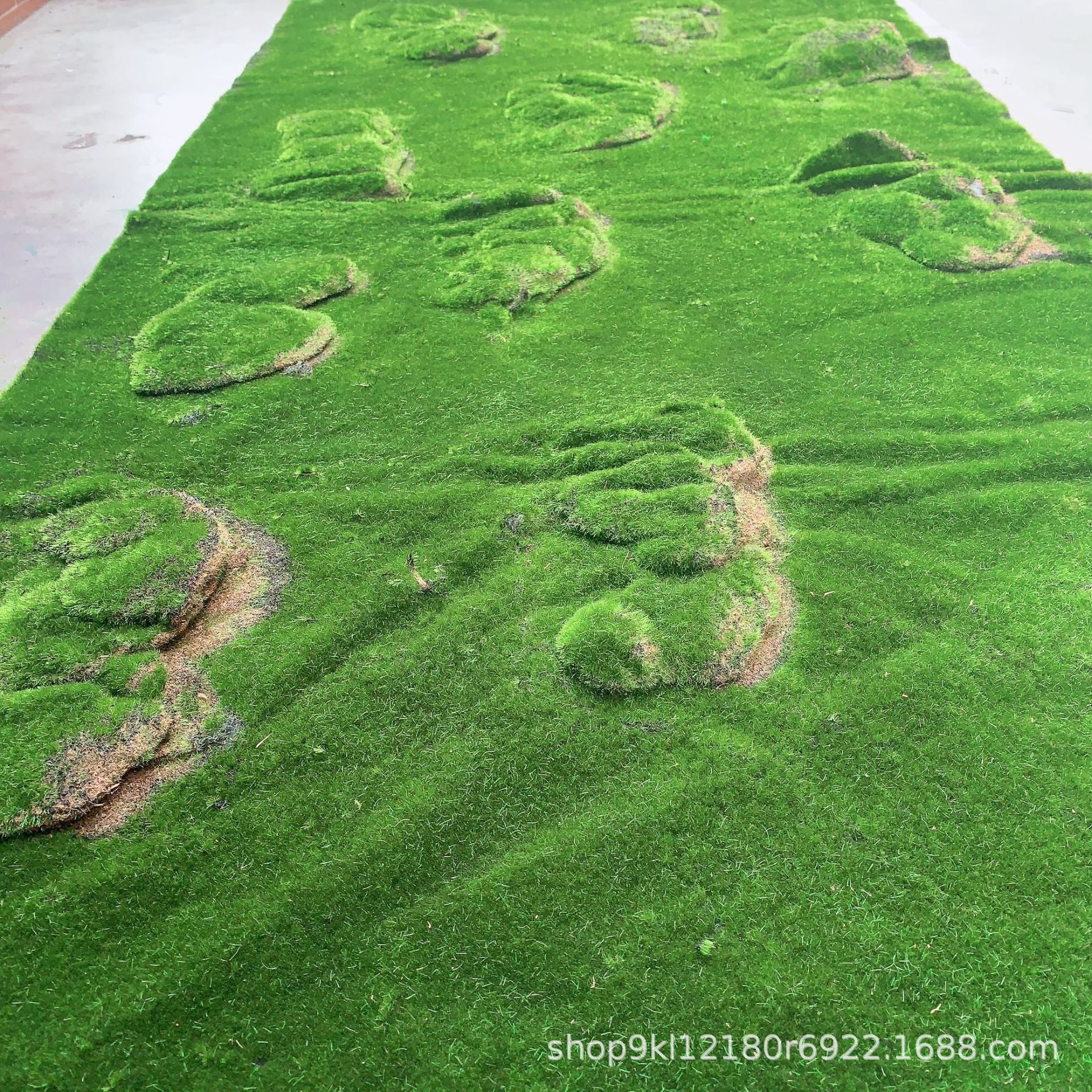 闪光草绿色草坪