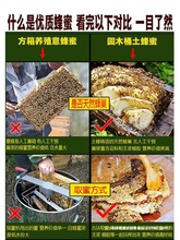 ȻҰСbyrԮaٻ۔DƿЇ