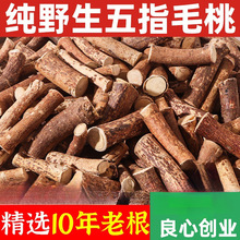 ����Ұ����ָë�Ҹ���ș���������Ҝ��ϰ����r����צ��5g�ؼ�