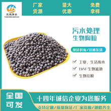 厂家供应生物滤池用生物陶粒 人工湿地硝化池用生物陶粒量大优惠