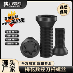 1.9級梅の花のねじのデジタル制御の刀の棒のねじのフライスの刃の工具のねじm 2m 2.5m 3m 3.5m 4m 5m 6